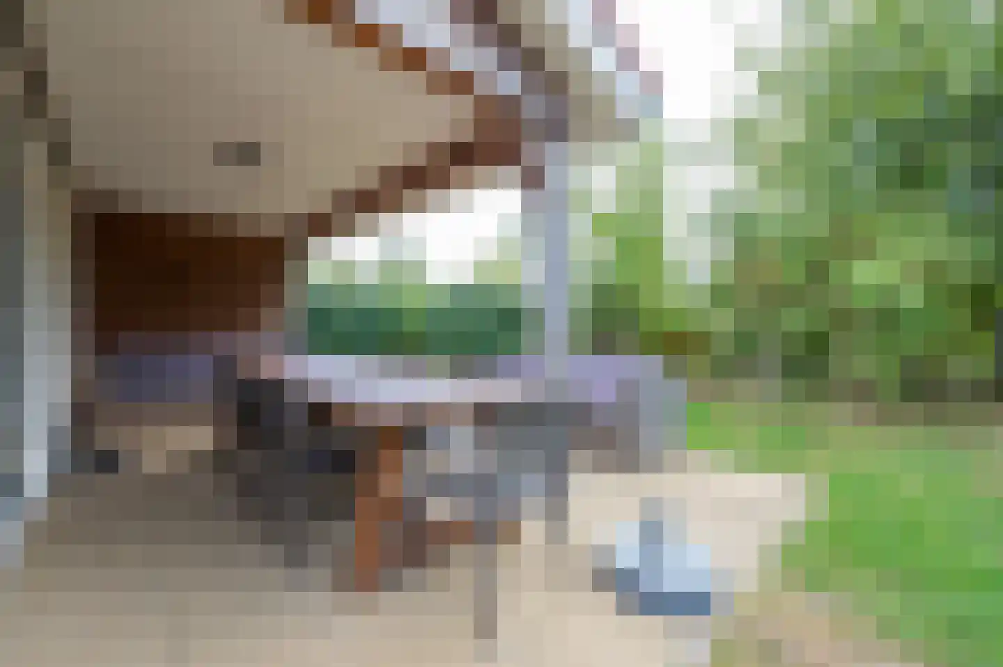 Zeedijk 24 269 Nieuwvliet thumbnail 5