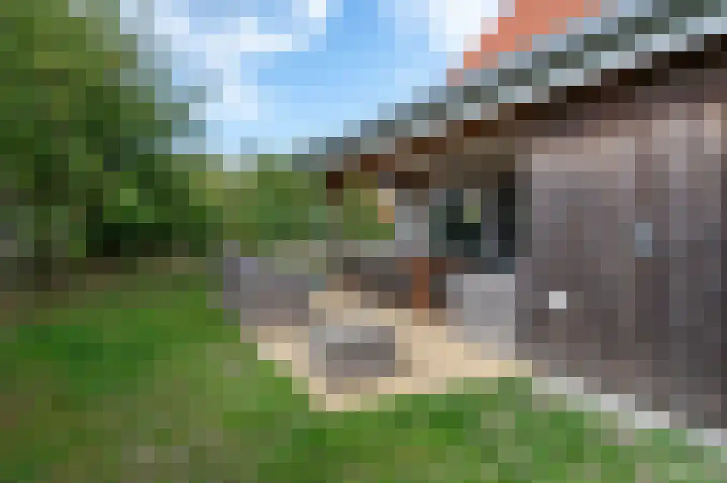 Zeedijk 24 269 Nieuwvliet thumbnail 7
