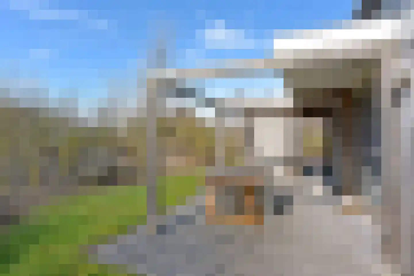 Zeedijk 24 286 Nieuwvliet thumbnail 5
