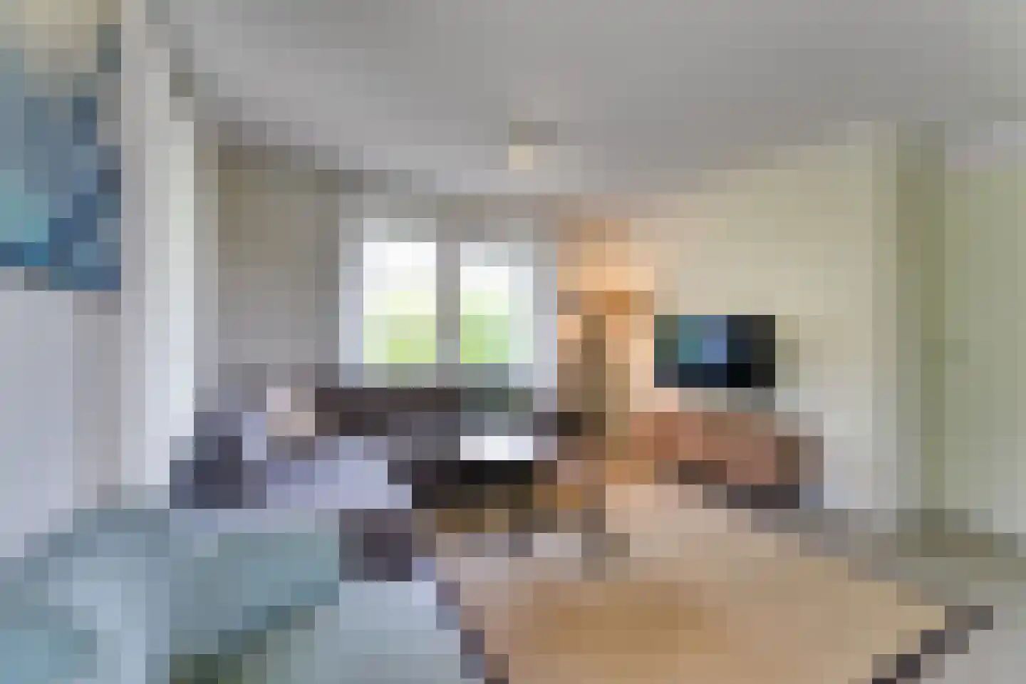 Zeedijk 24 301 Nieuwvliet thumbnail 10