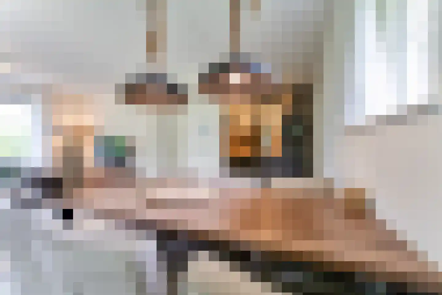 Zeedijk 24 301 Nieuwvliet thumbnail 11