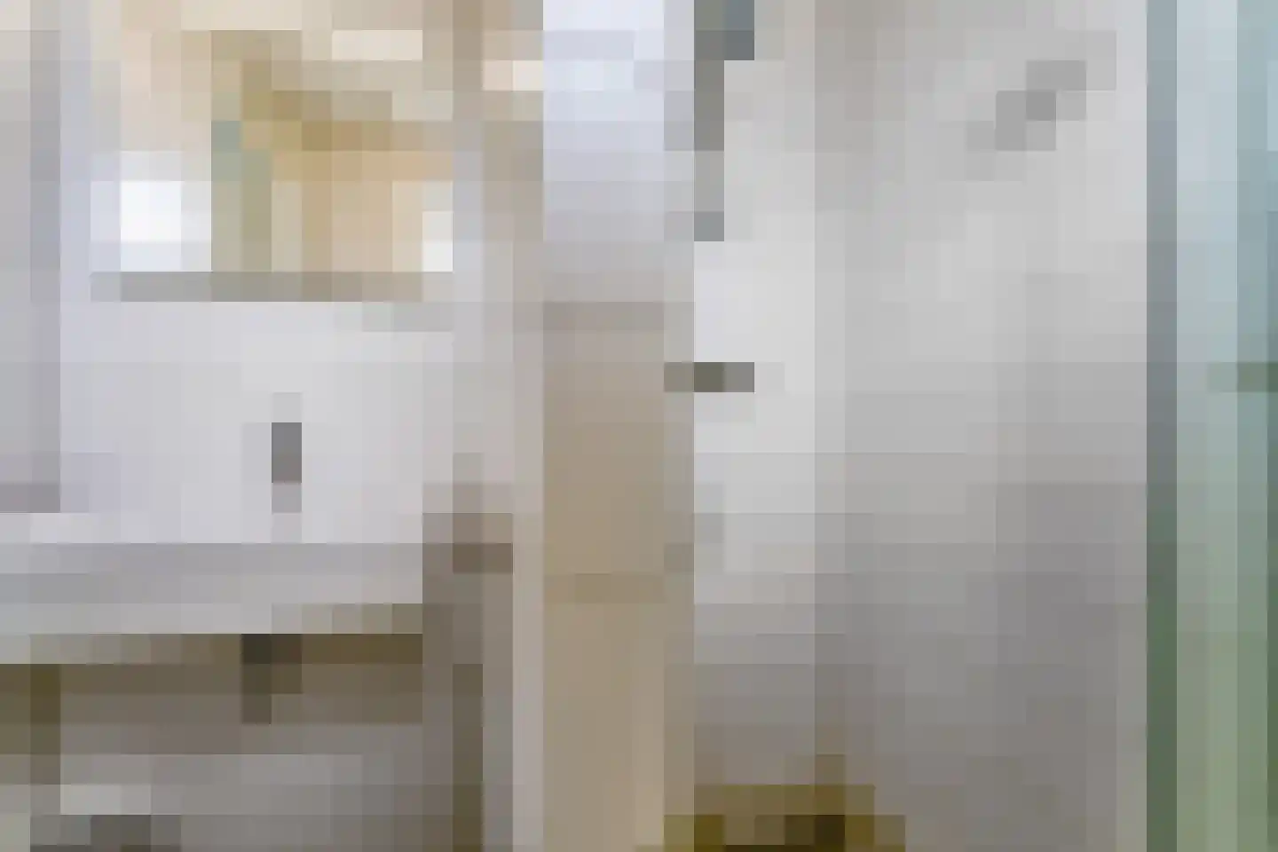 Zeedijk 24 301 Nieuwvliet thumbnail 14