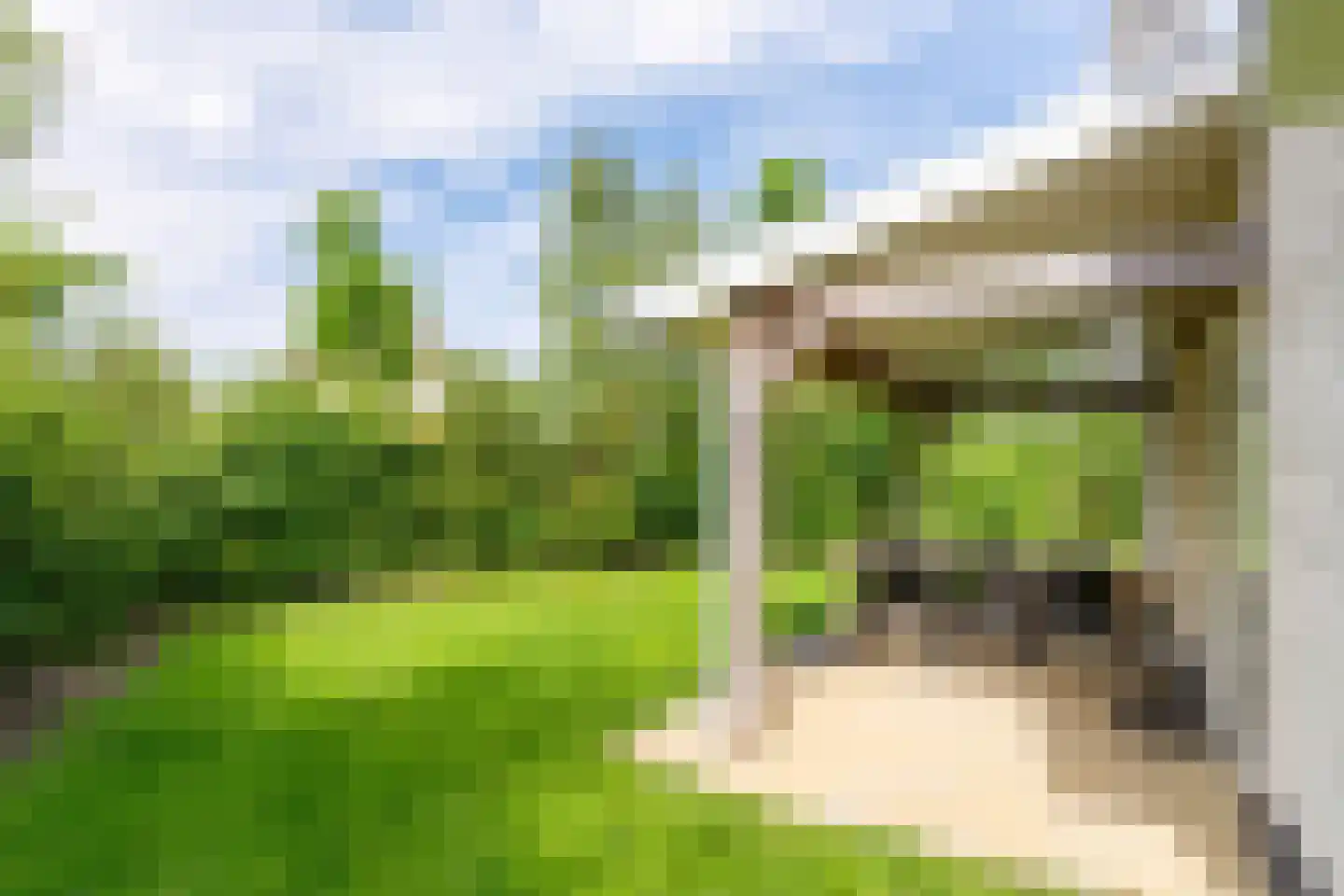 Zeedijk 24 301 Nieuwvliet thumbnail 5