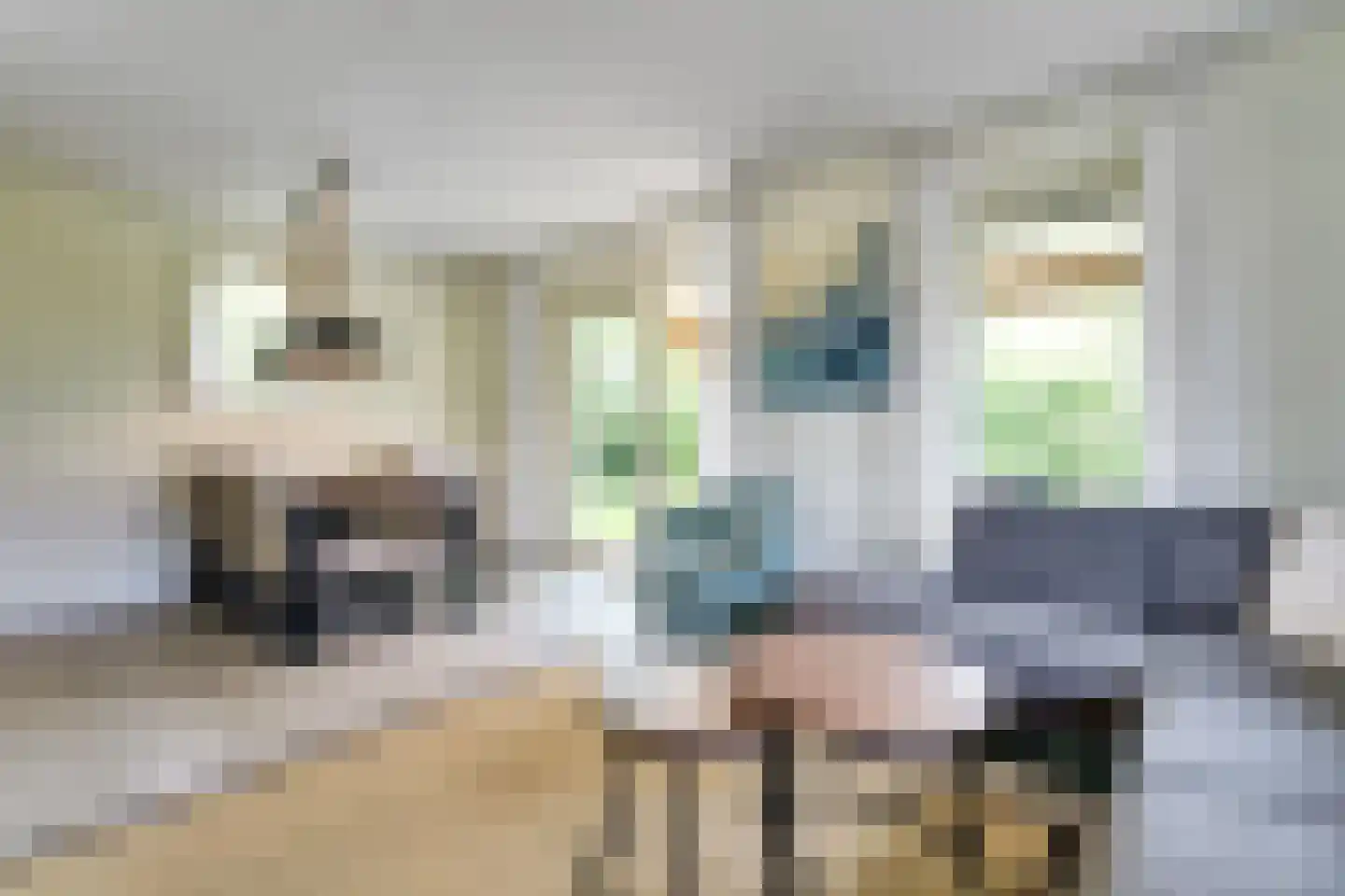 Zeedijk 24 301 Nieuwvliet thumbnail 9