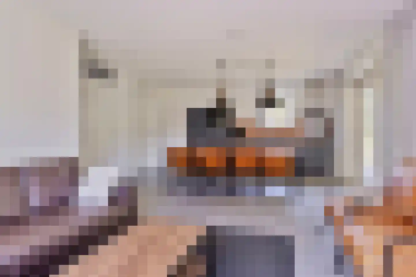 Zeedijk 24 307 Nieuwvliet thumbnail 10