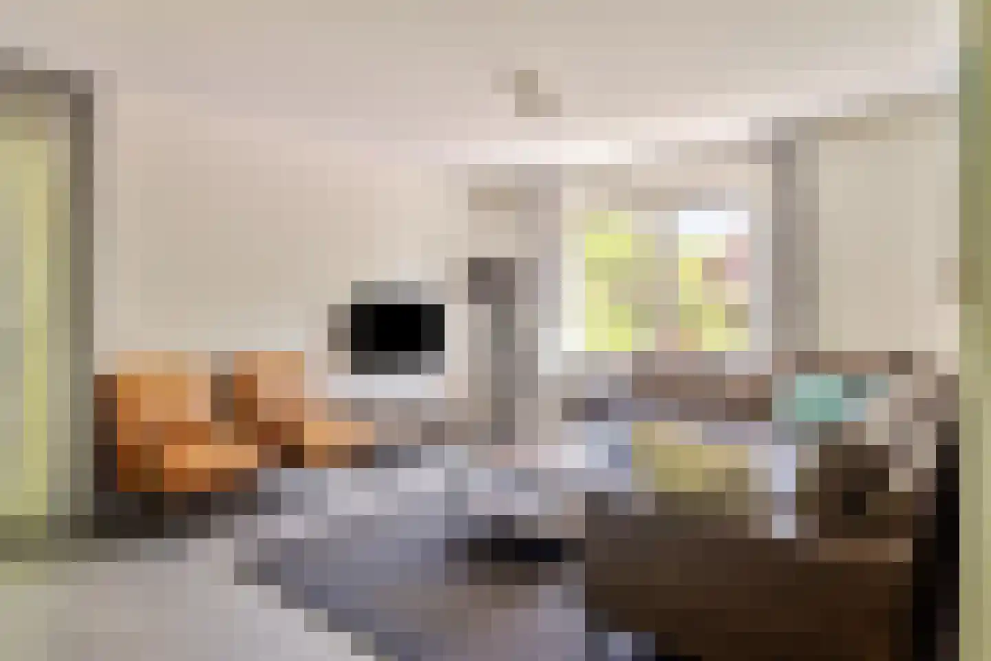 Zeedijk 24 307 Nieuwvliet thumbnail 11