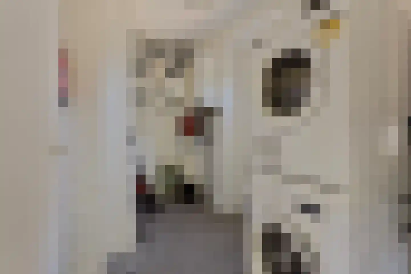 Zeedijk 24 307 Nieuwvliet thumbnail 15