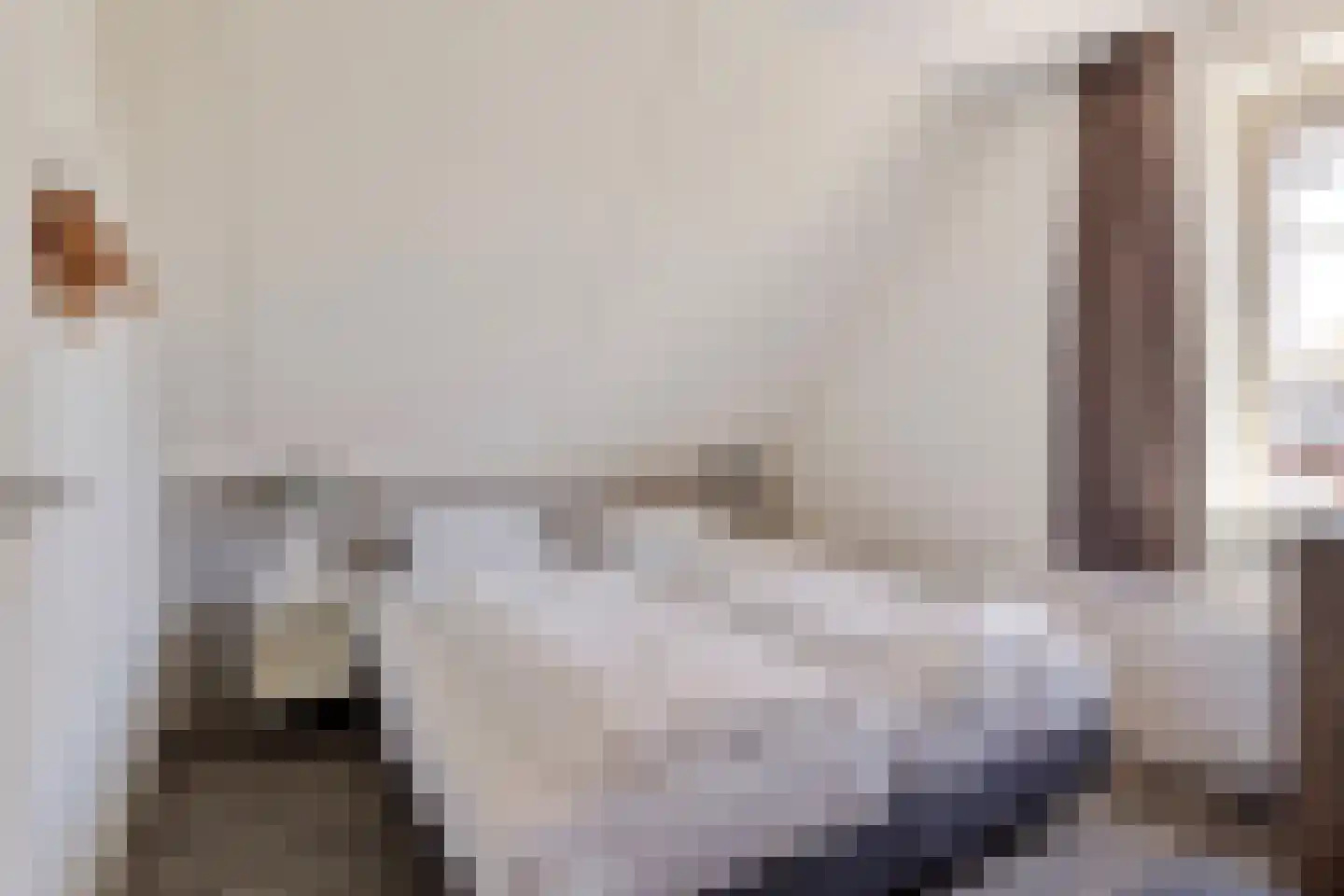Zeedijk 24 307 Nieuwvliet thumbnail 21