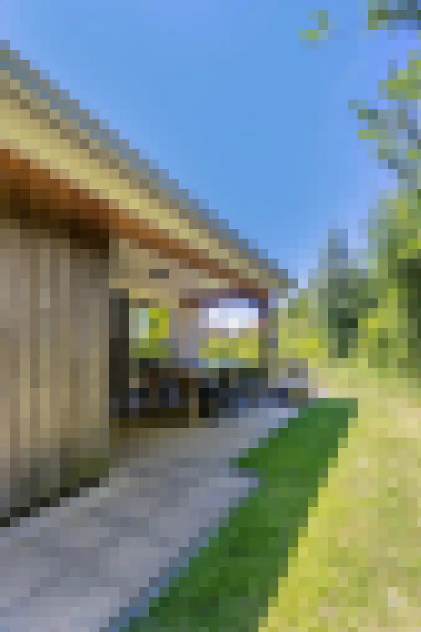 Zeedijk 24 307 Nieuwvliet thumbnail 32