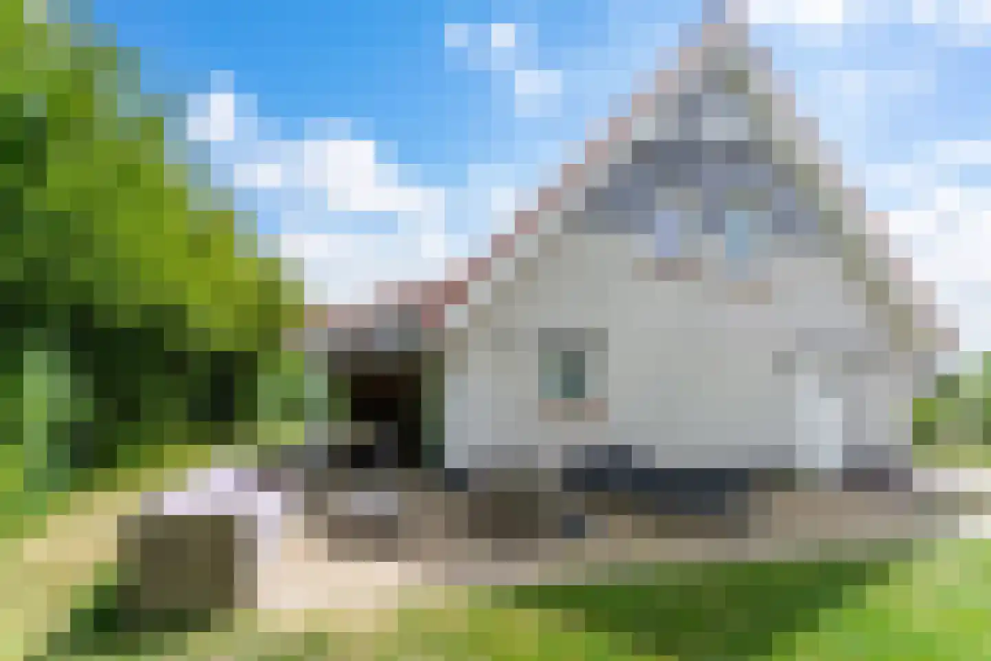 Zeedijk 24 307 Nieuwvliet thumbnail 37