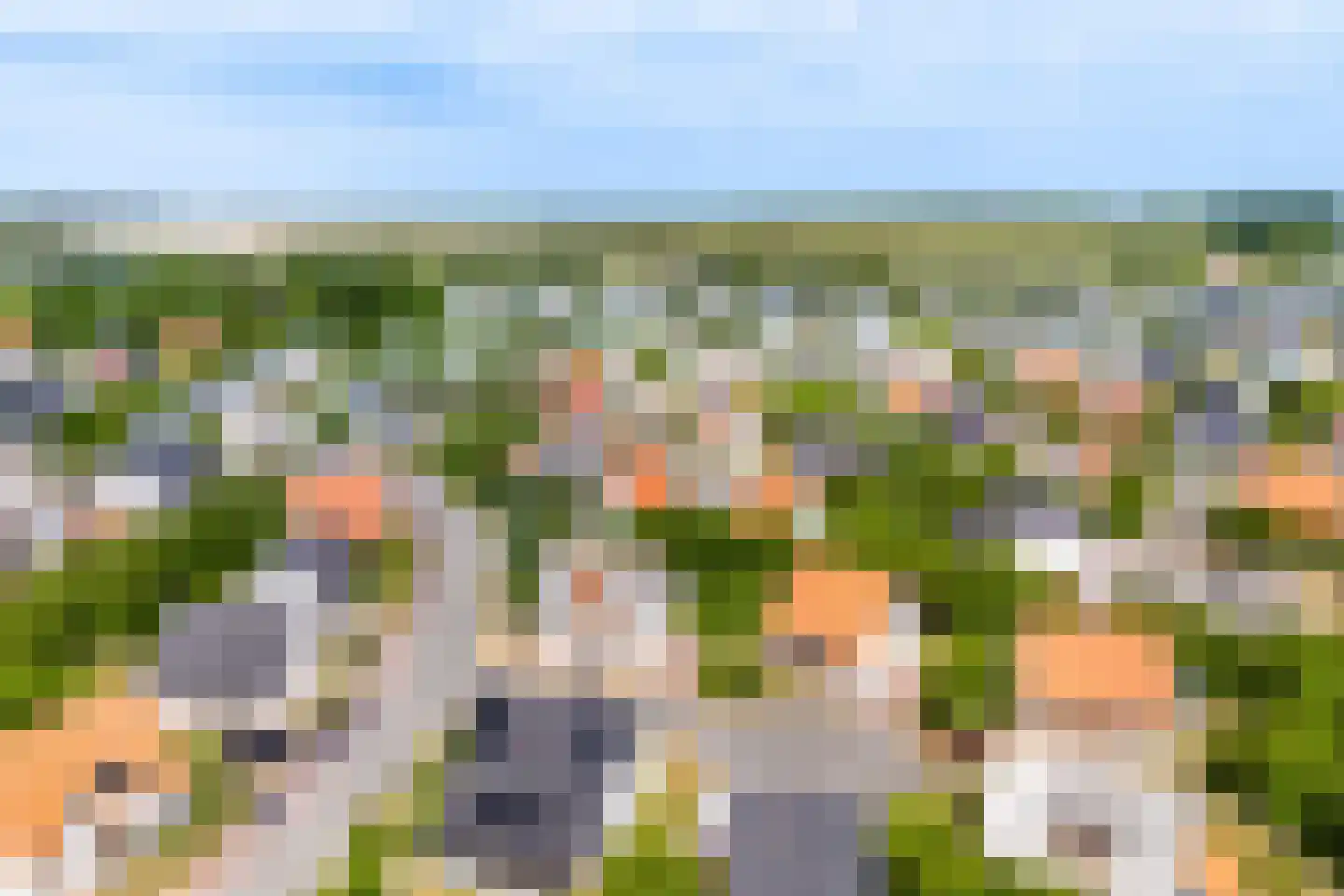 Zeedijk 24 307 Nieuwvliet thumbnail 40