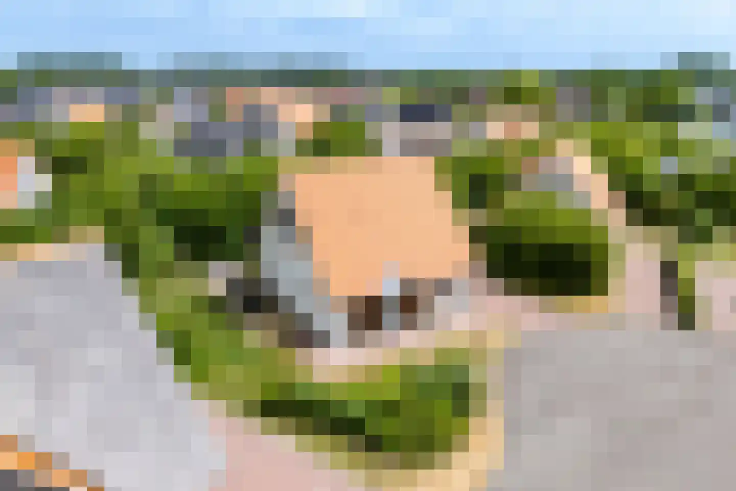 Zeedijk 24 307 Nieuwvliet thumbnail 6