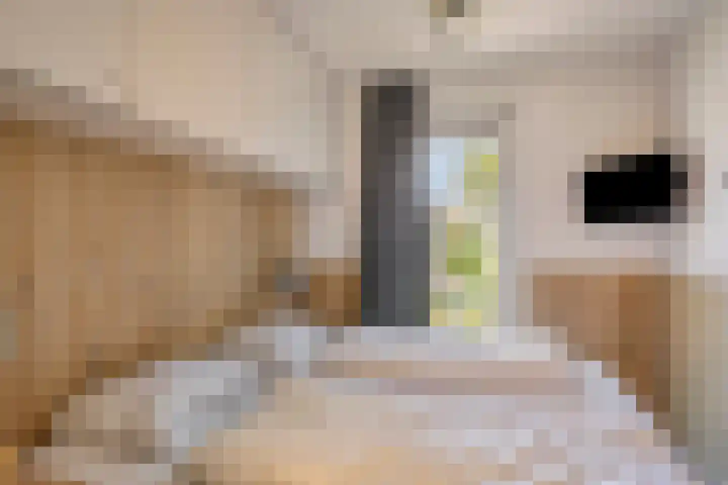 Zeedijk 24 327 Nieuwvliet thumbnail 10