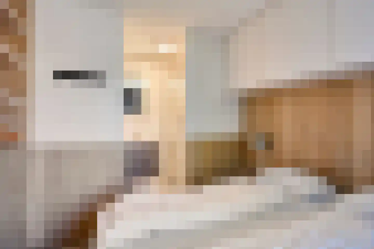 Zeedijk 24 327 Nieuwvliet thumbnail 11