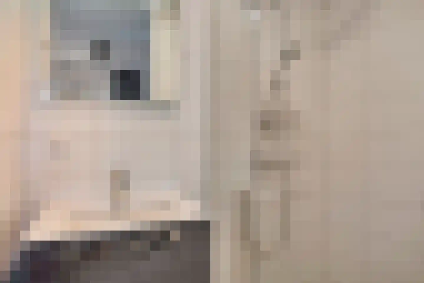 Zeedijk 24 327 Nieuwvliet thumbnail 12