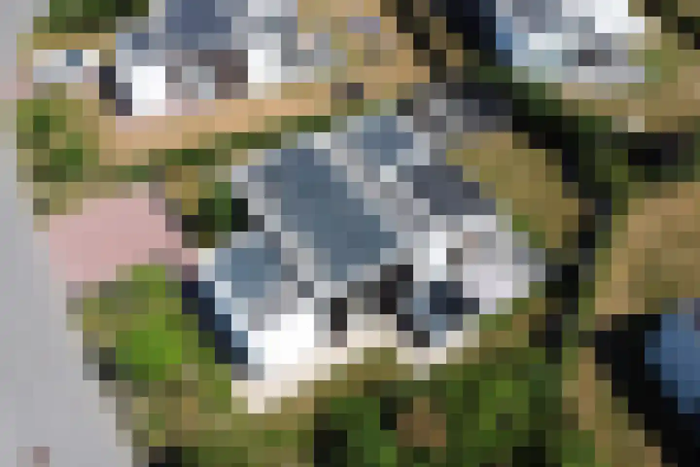 Zeedijk 24 327 Nieuwvliet thumbnail 28