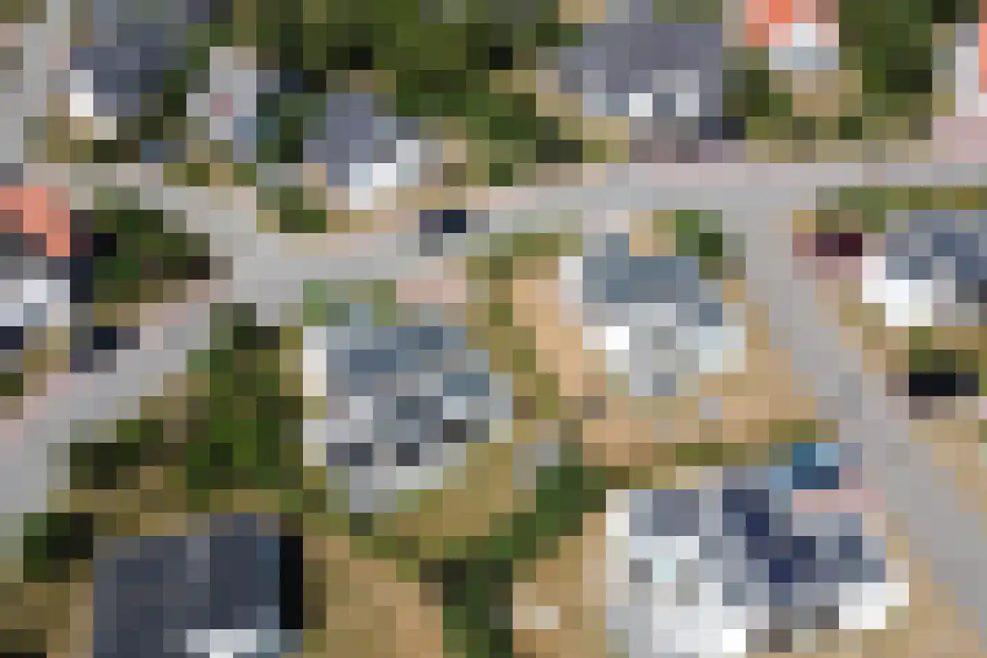 Zeedijk 24 327 Nieuwvliet thumbnail 32