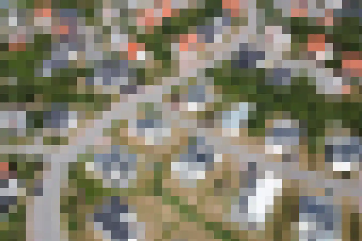 Zeedijk 24 327 Nieuwvliet thumbnail 33