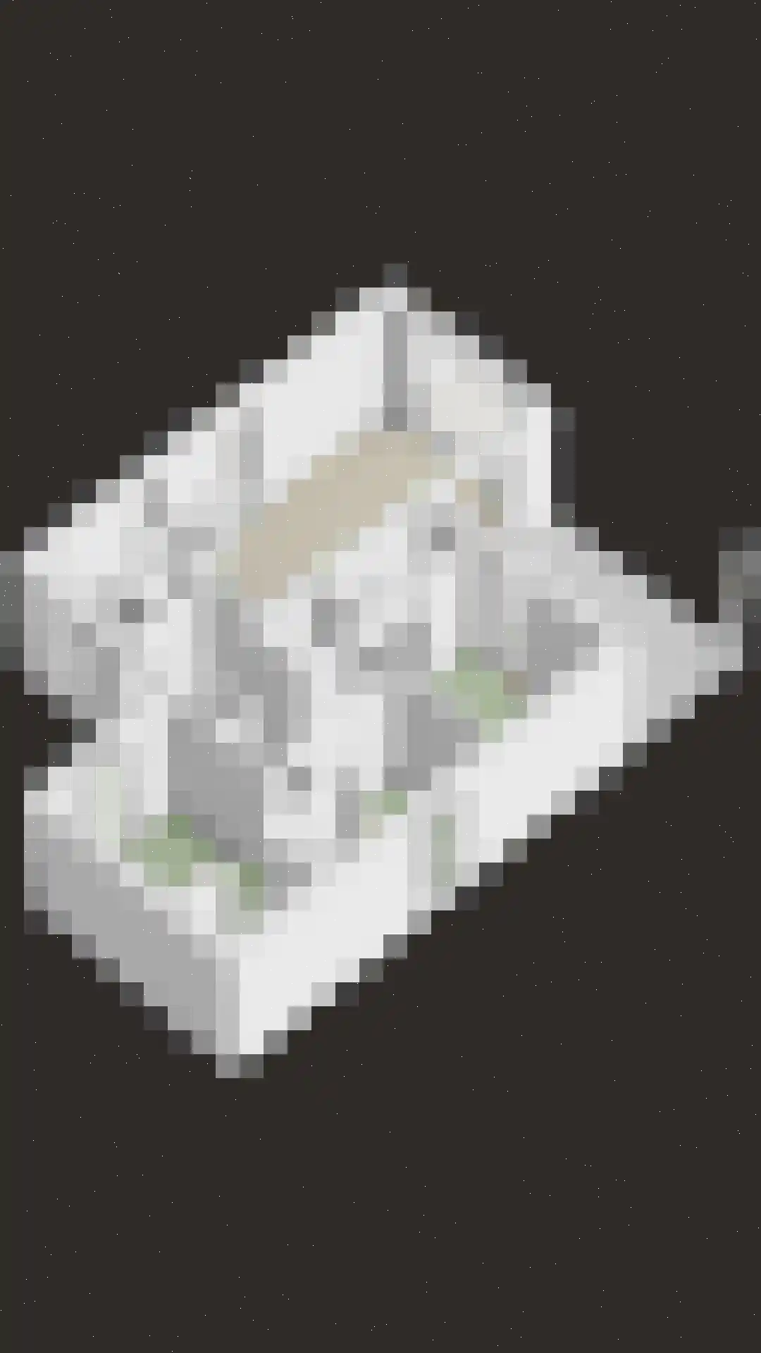 Zeedijk 24 327 Nieuwvliet thumbnail 39