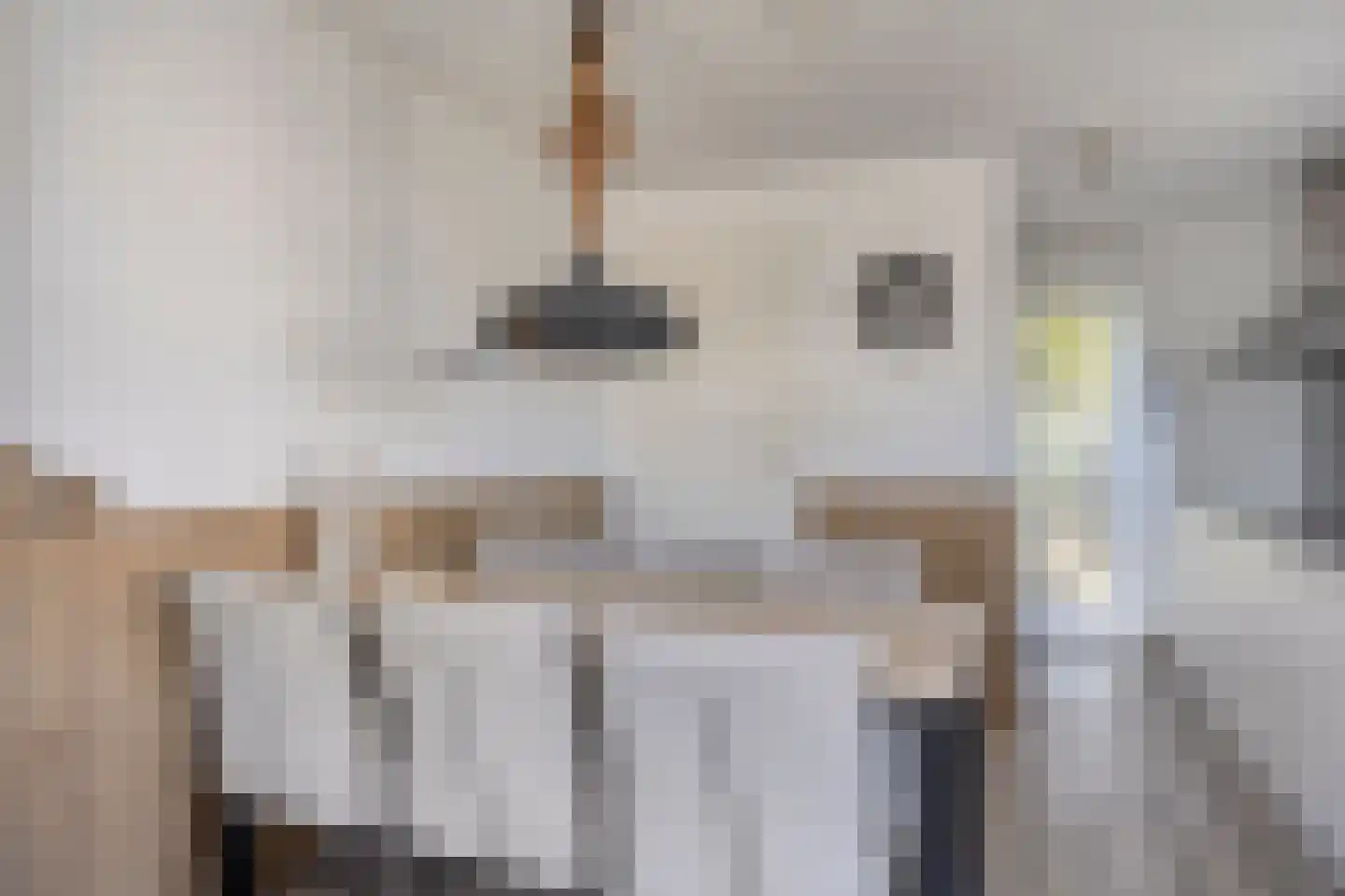 Zeedijk 24 327 Nieuwvliet thumbnail 7