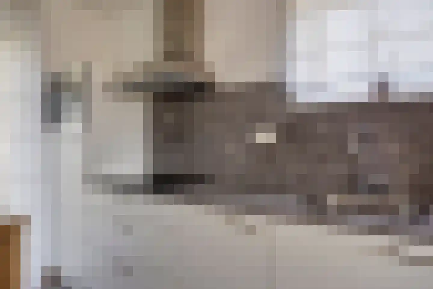 Zeedijk 24 327 Nieuwvliet thumbnail 9