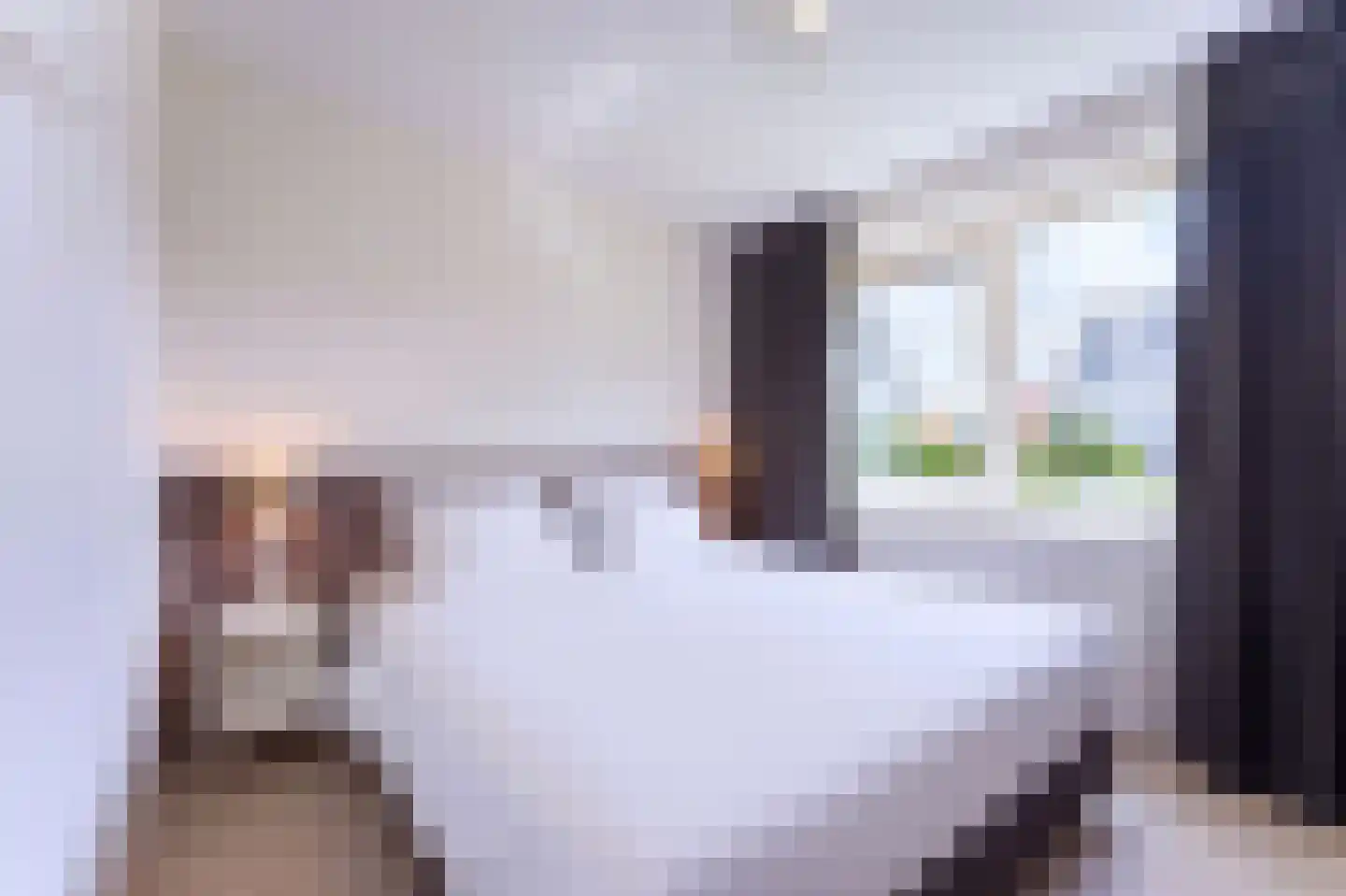 Zeedijk 24 331 Nieuwvliet thumbnail 15