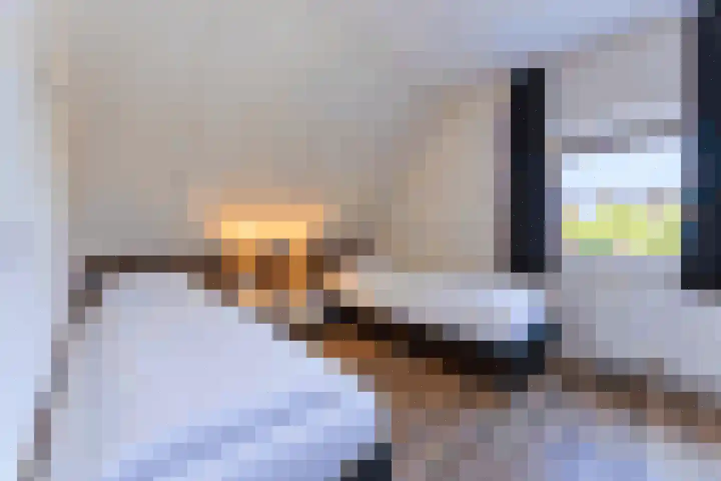 Zeedijk 24 331 Nieuwvliet thumbnail 22