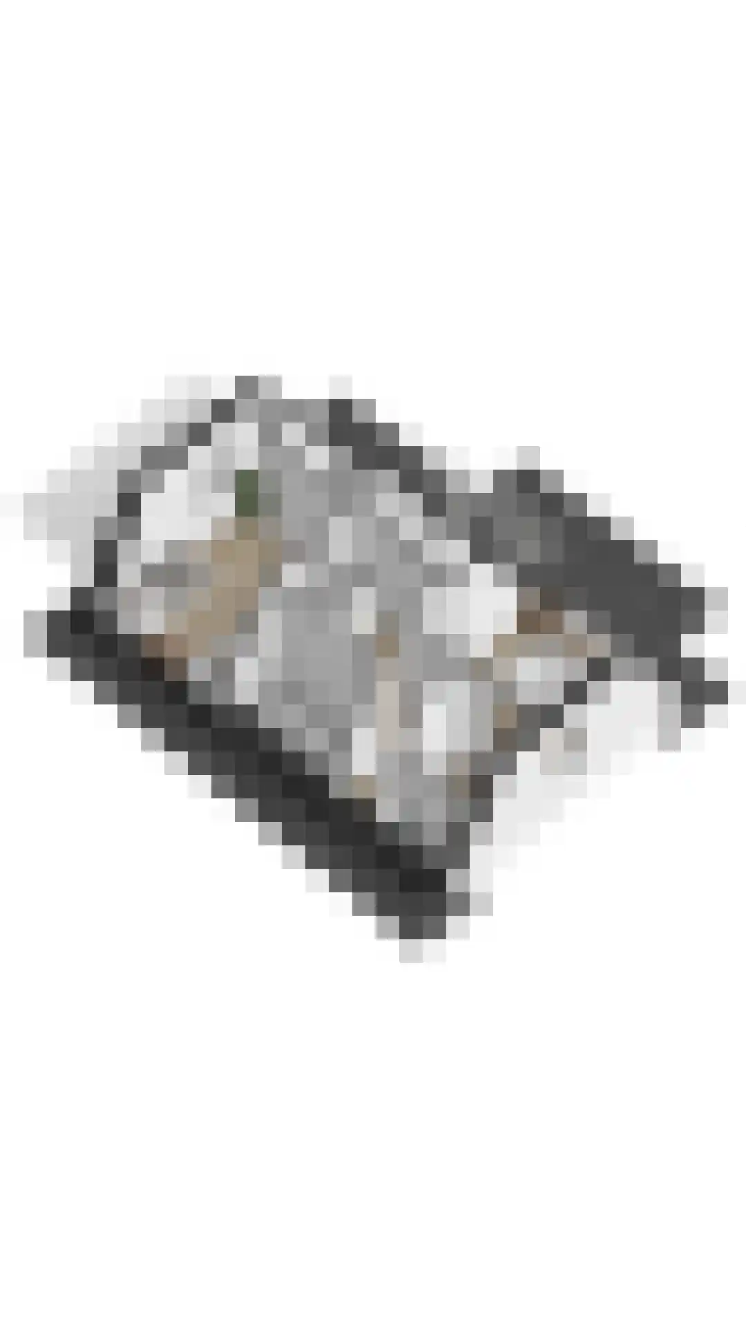 Zeedijk 24 331 Nieuwvliet thumbnail 31