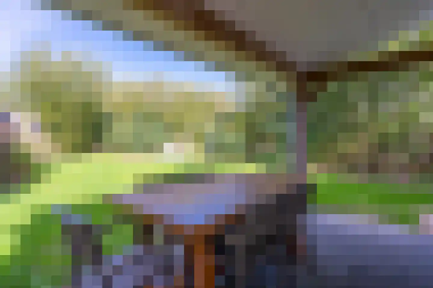 Zeedijk 24 331 Nieuwvliet thumbnail 4