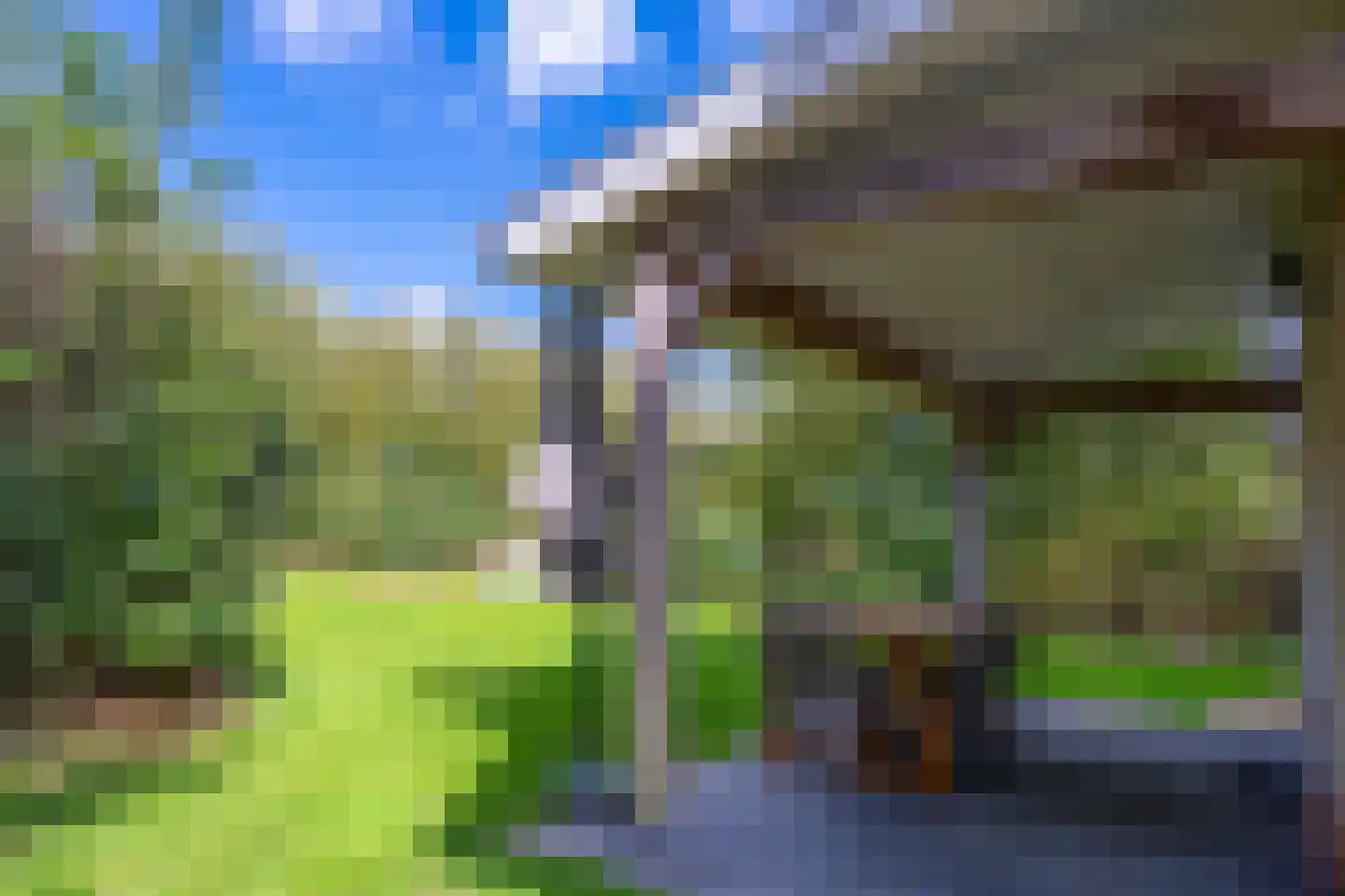 Zeedijk 24 331 Nieuwvliet thumbnail 7