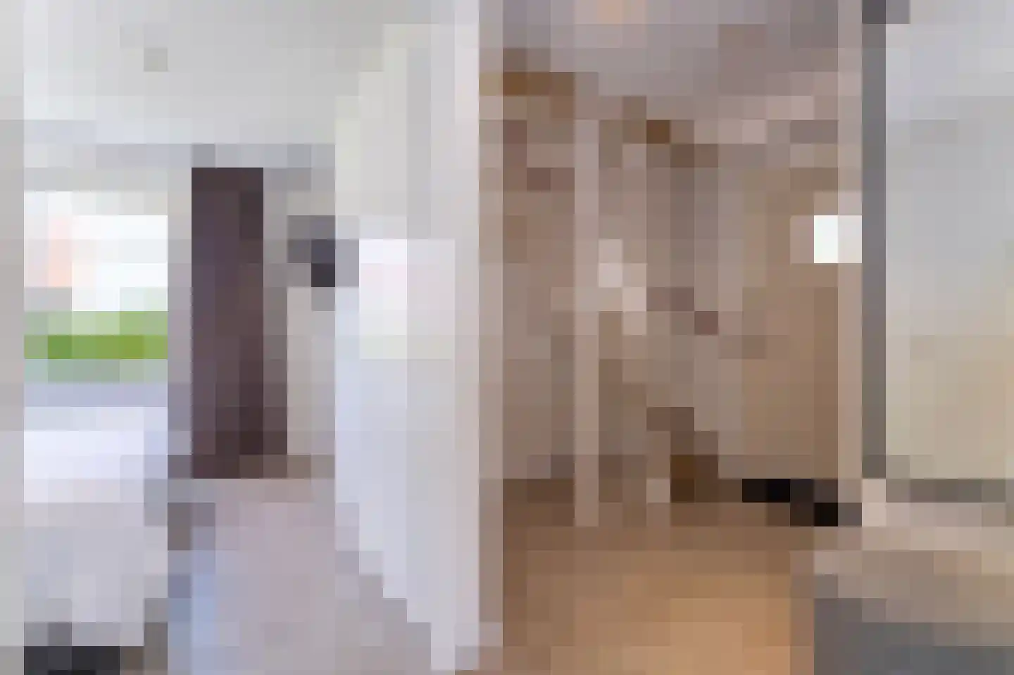 Zeedijk 24 339 Nieuwvliet thumbnail 10