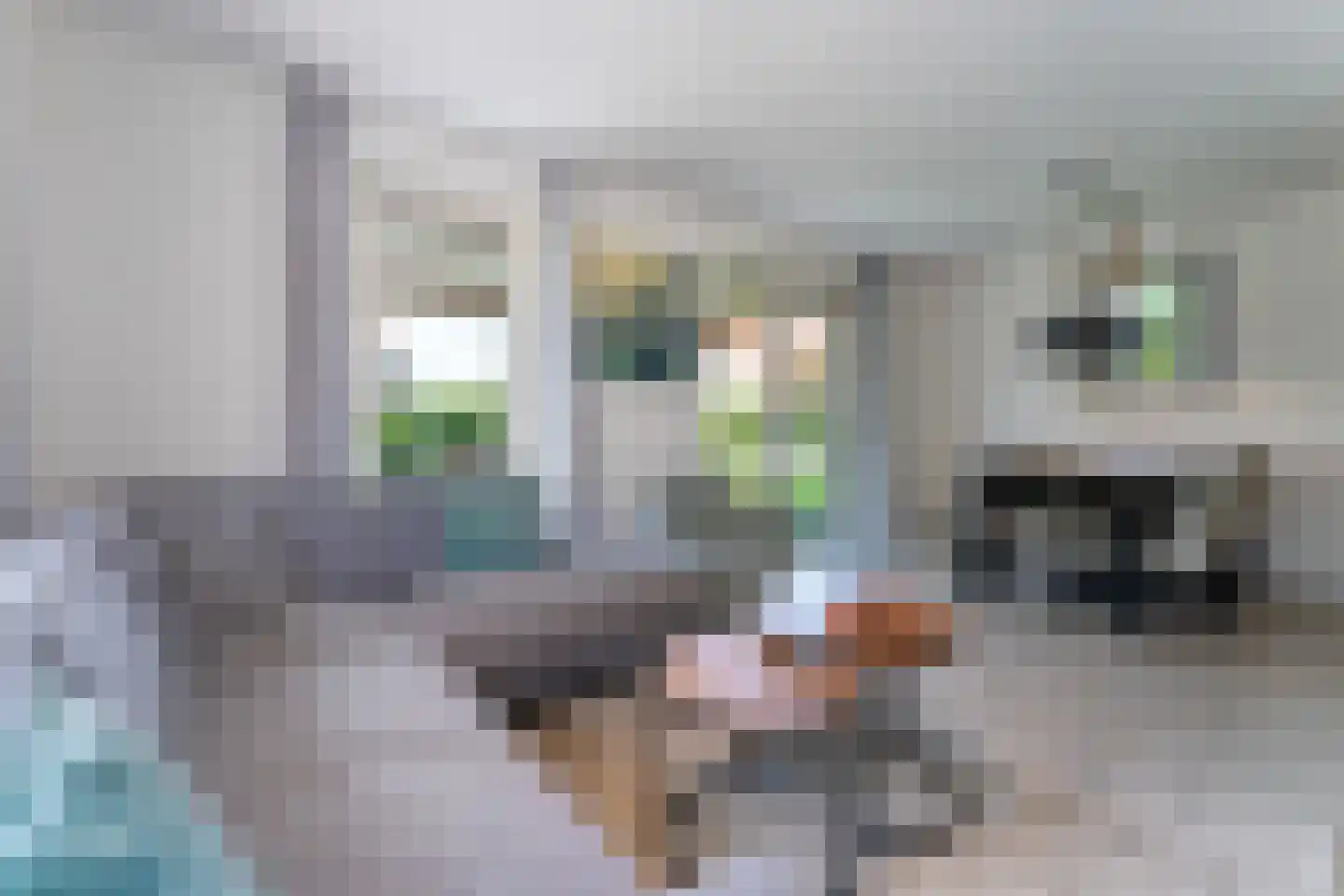 Zeedijk 24 339 Nieuwvliet thumbnail 11