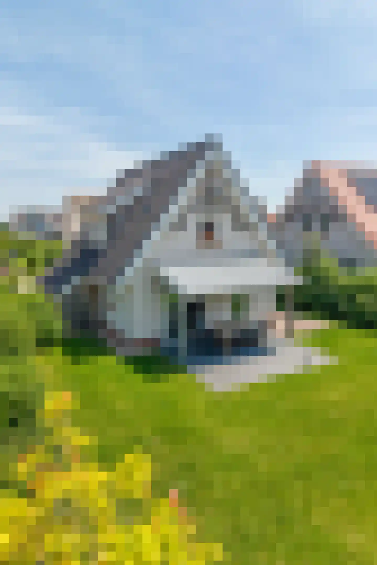 Zeedijk 24 339 Nieuwvliet thumbnail 26