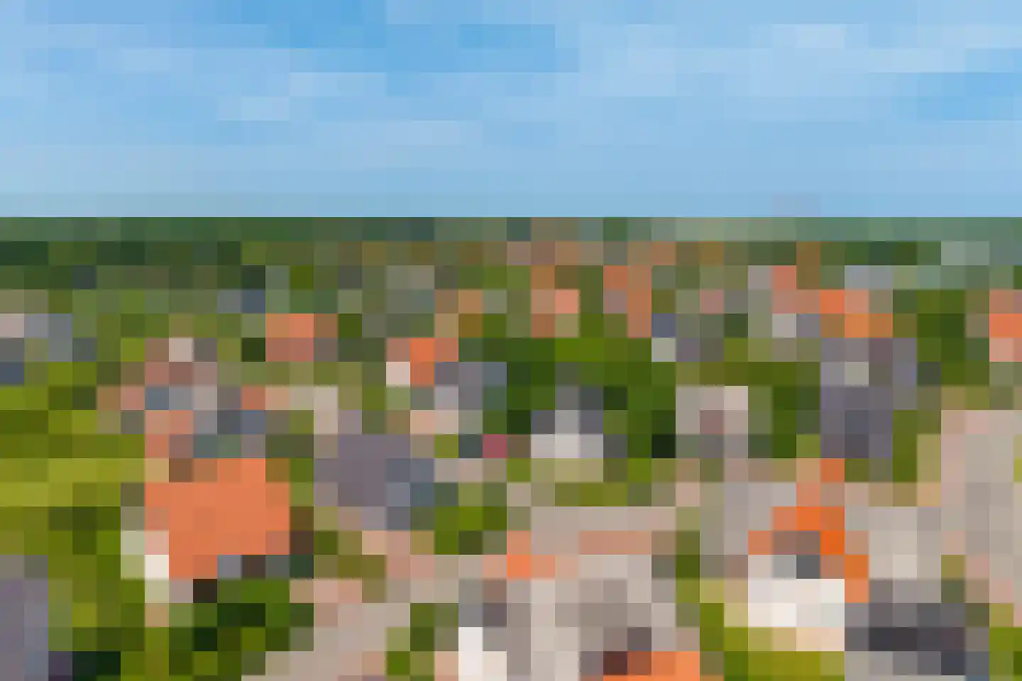 Zeedijk 24 339 Nieuwvliet thumbnail 27