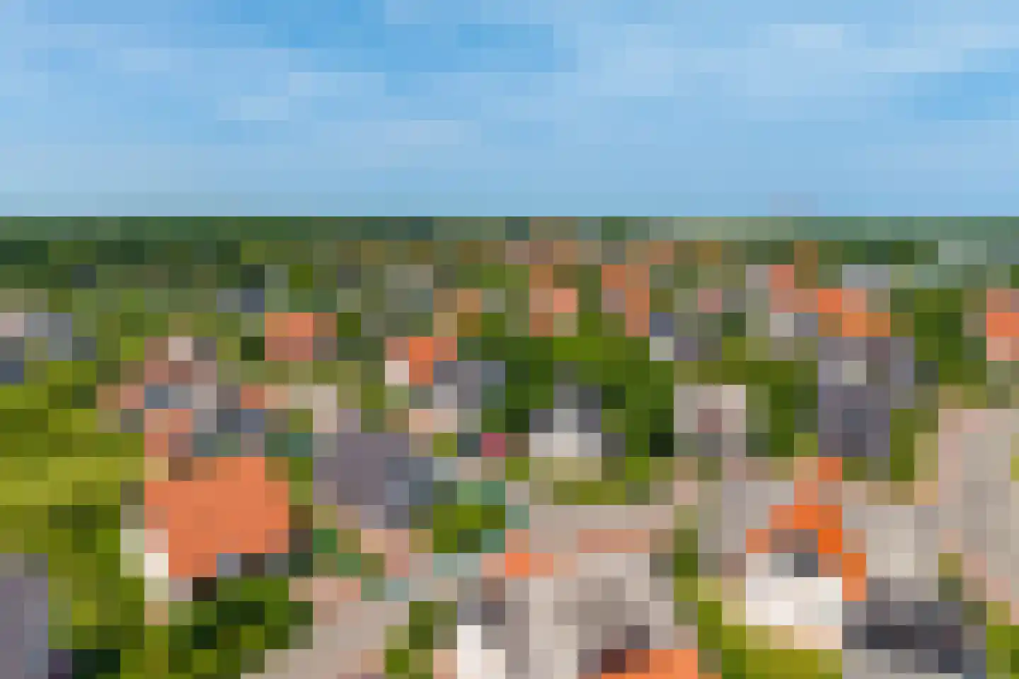 Zeedijk 24 339 Nieuwvliet thumbnail 6