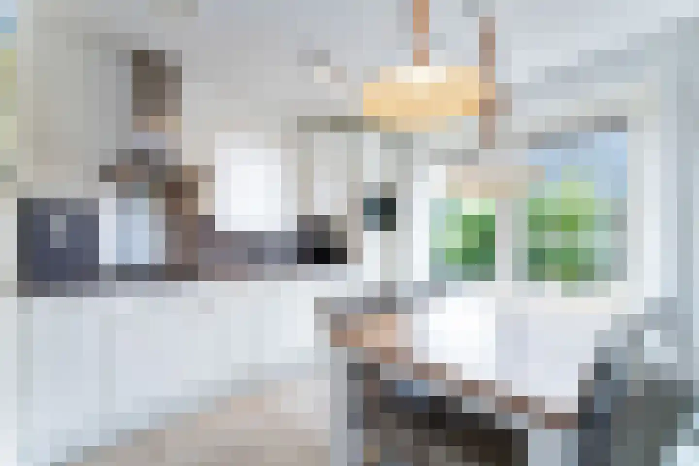 Zeedijk 24 343 Nieuwvliet thumbnail 12