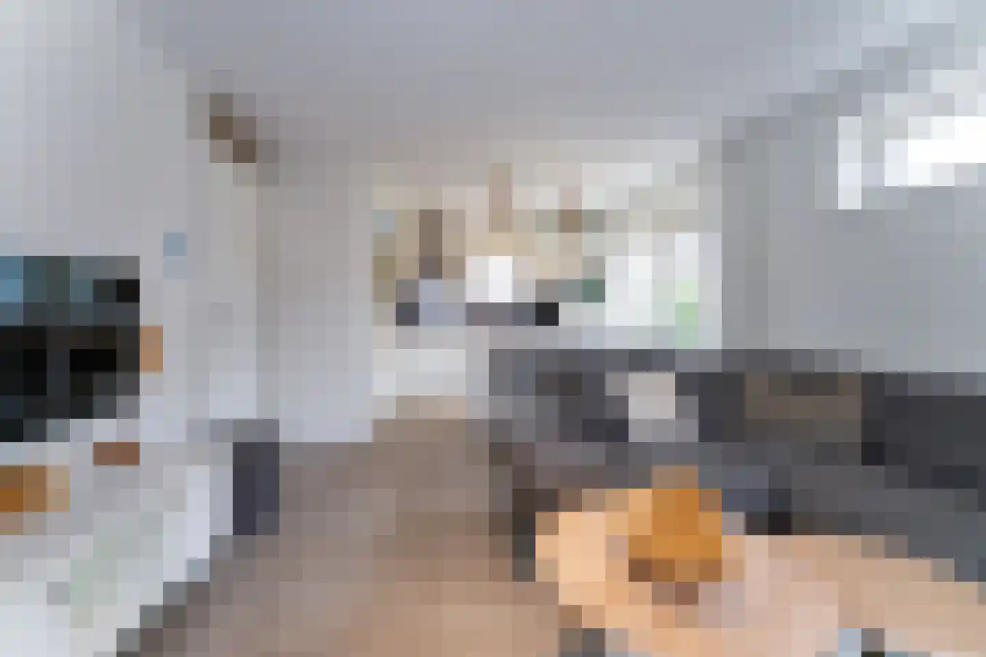 Zeedijk 24 343 Nieuwvliet thumbnail 13