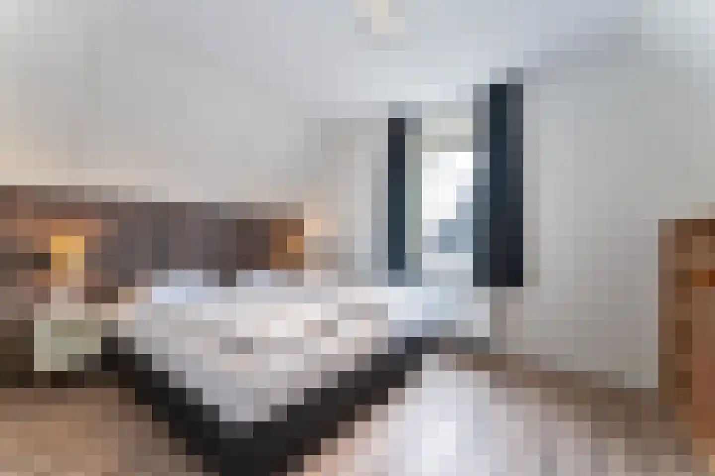 Zeedijk 24 343 Nieuwvliet thumbnail 18
