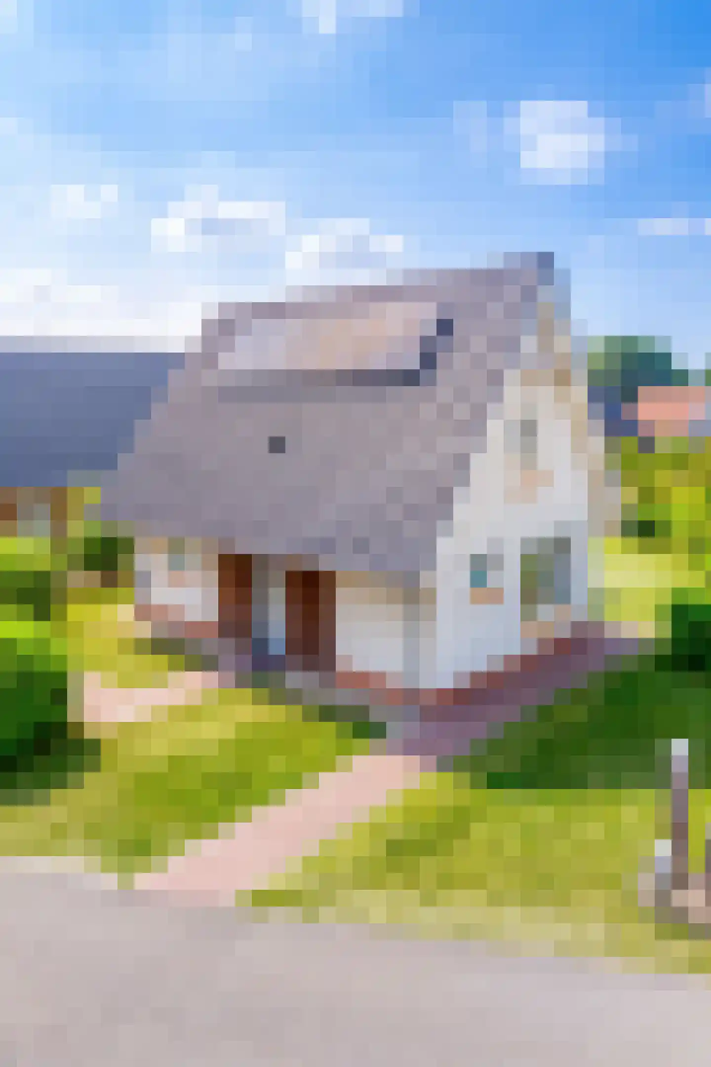 Zeedijk 24 343 Nieuwvliet thumbnail 25