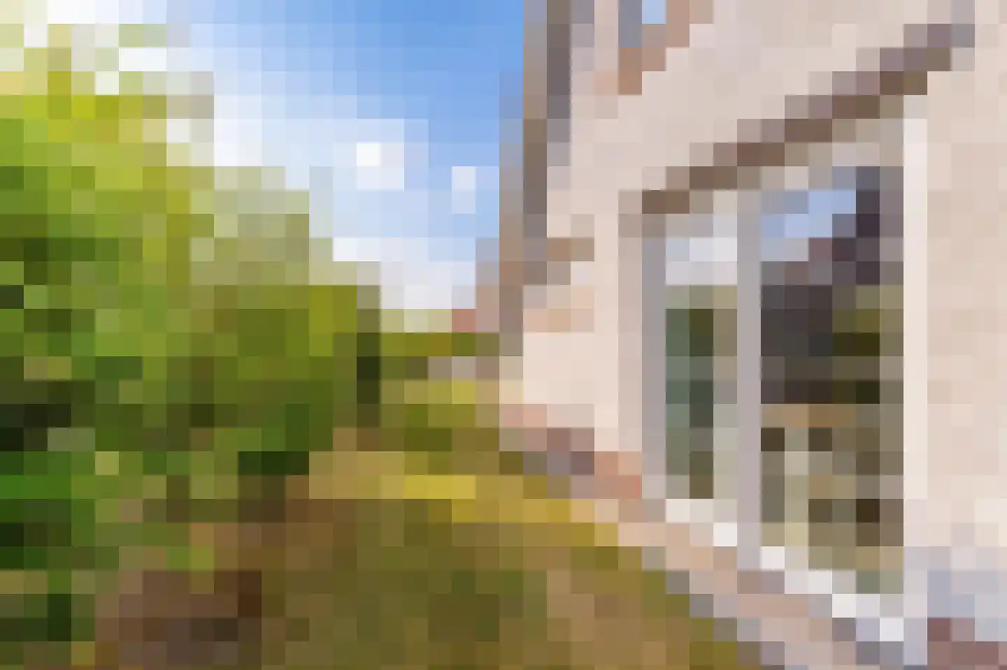 Zeedijk 24 343 Nieuwvliet thumbnail 26