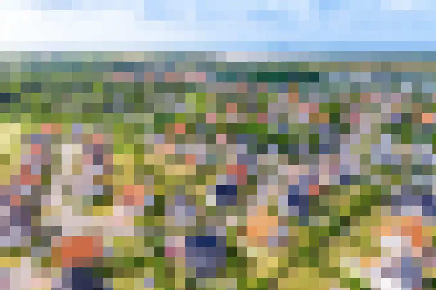 Zeedijk 24 343 Nieuwvliet thumbnail 30