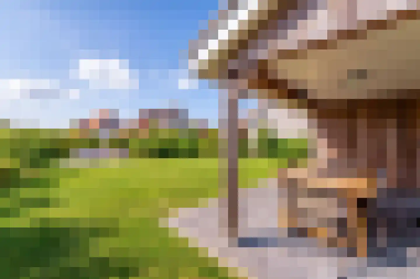 Zeedijk 24 343 Nieuwvliet thumbnail 7