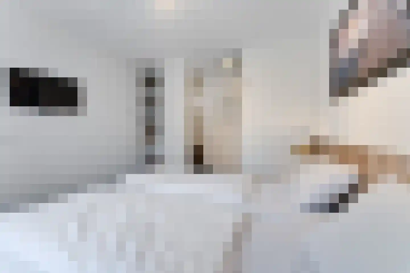 Zeedijk 24 348 Nieuwvliet thumbnail 15