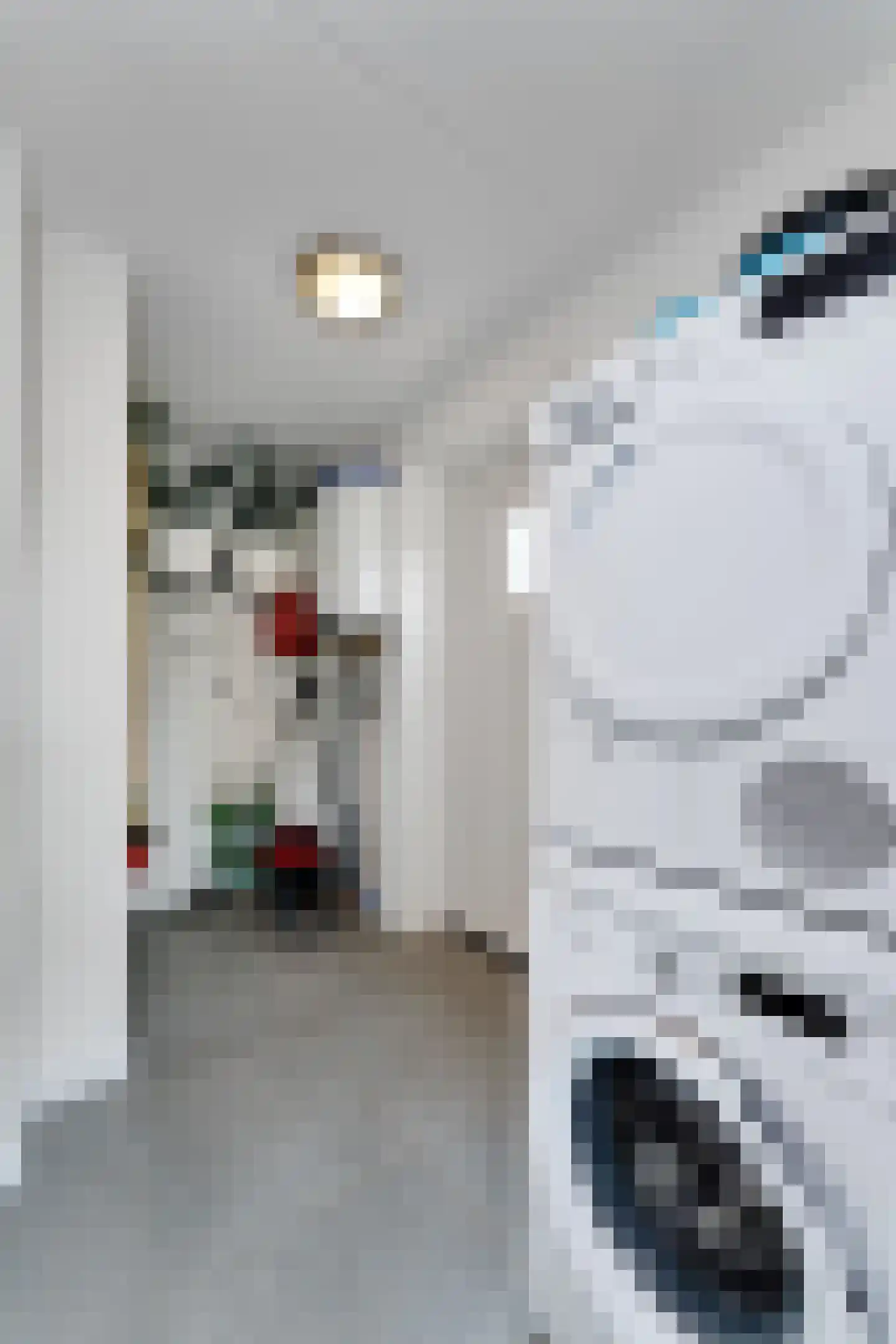 Zeedijk 24 348 Nieuwvliet thumbnail 19