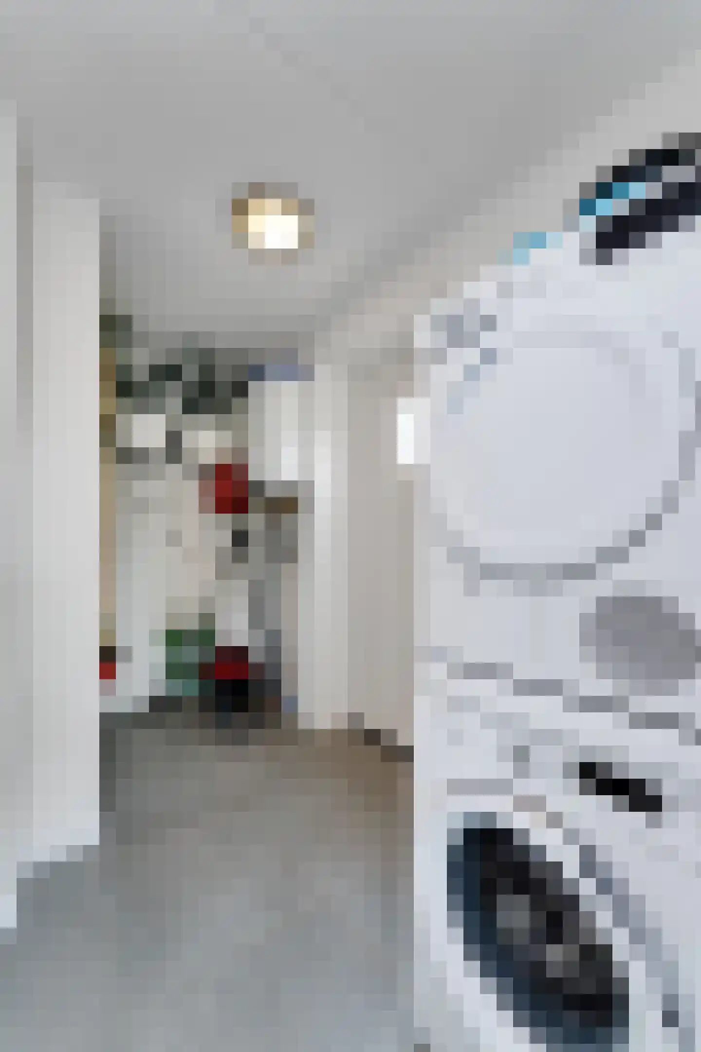 Zeedijk 24 348 Nieuwvliet thumbnail 19