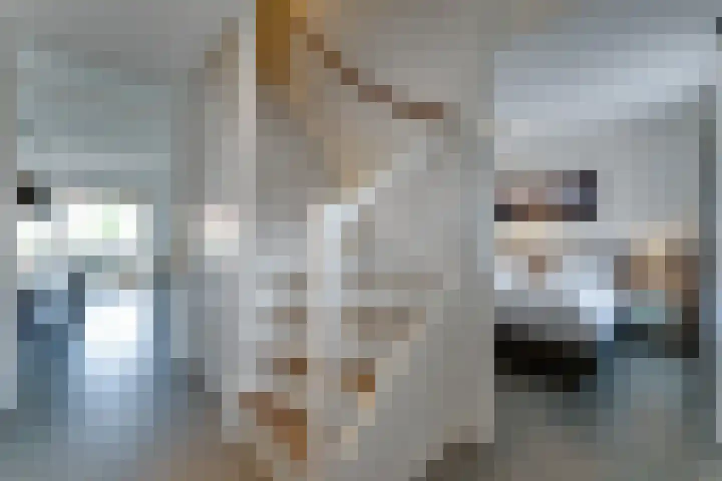 Zeedijk 24 348 Nieuwvliet thumbnail 20