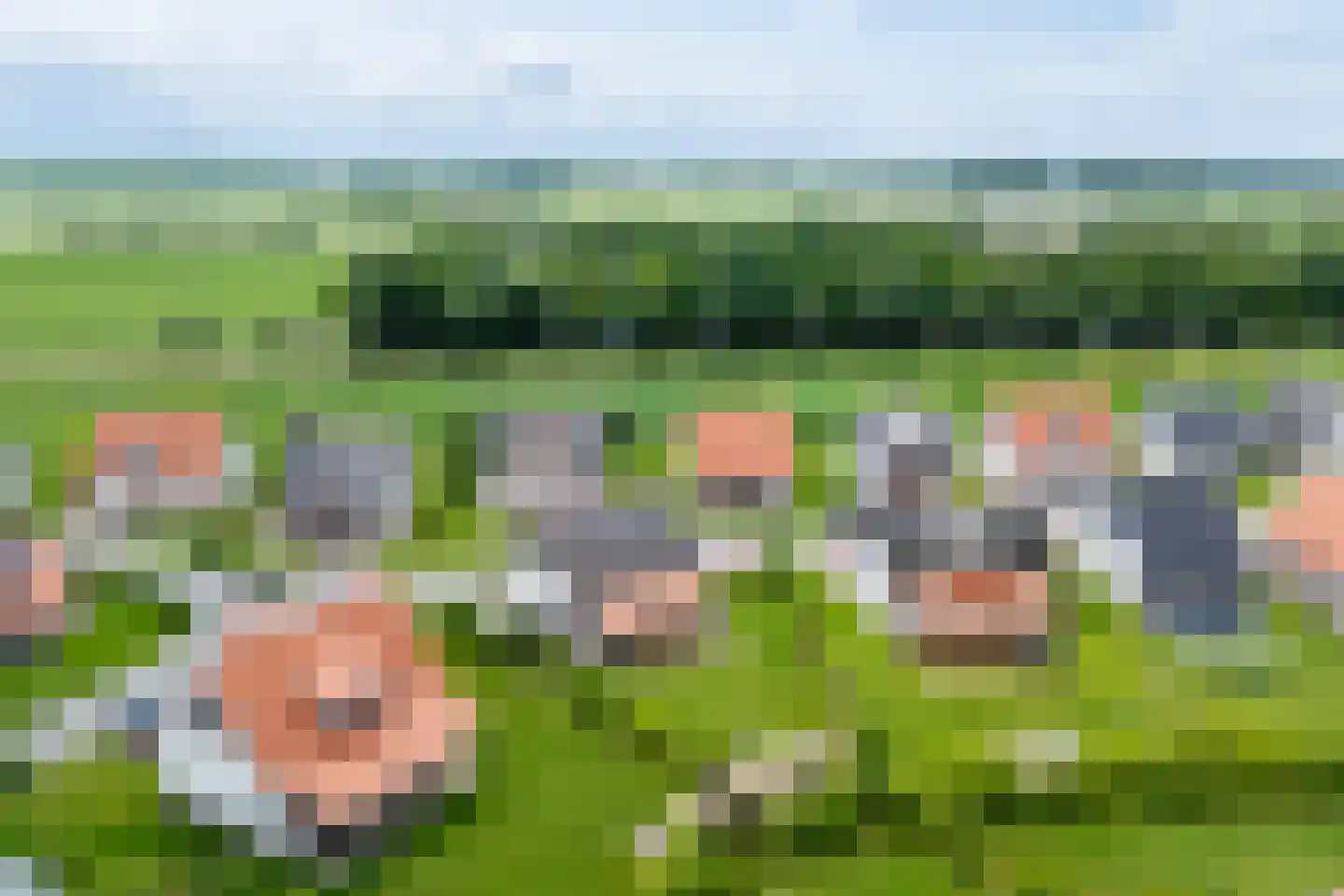 Zeedijk 24 348 Nieuwvliet thumbnail 34
