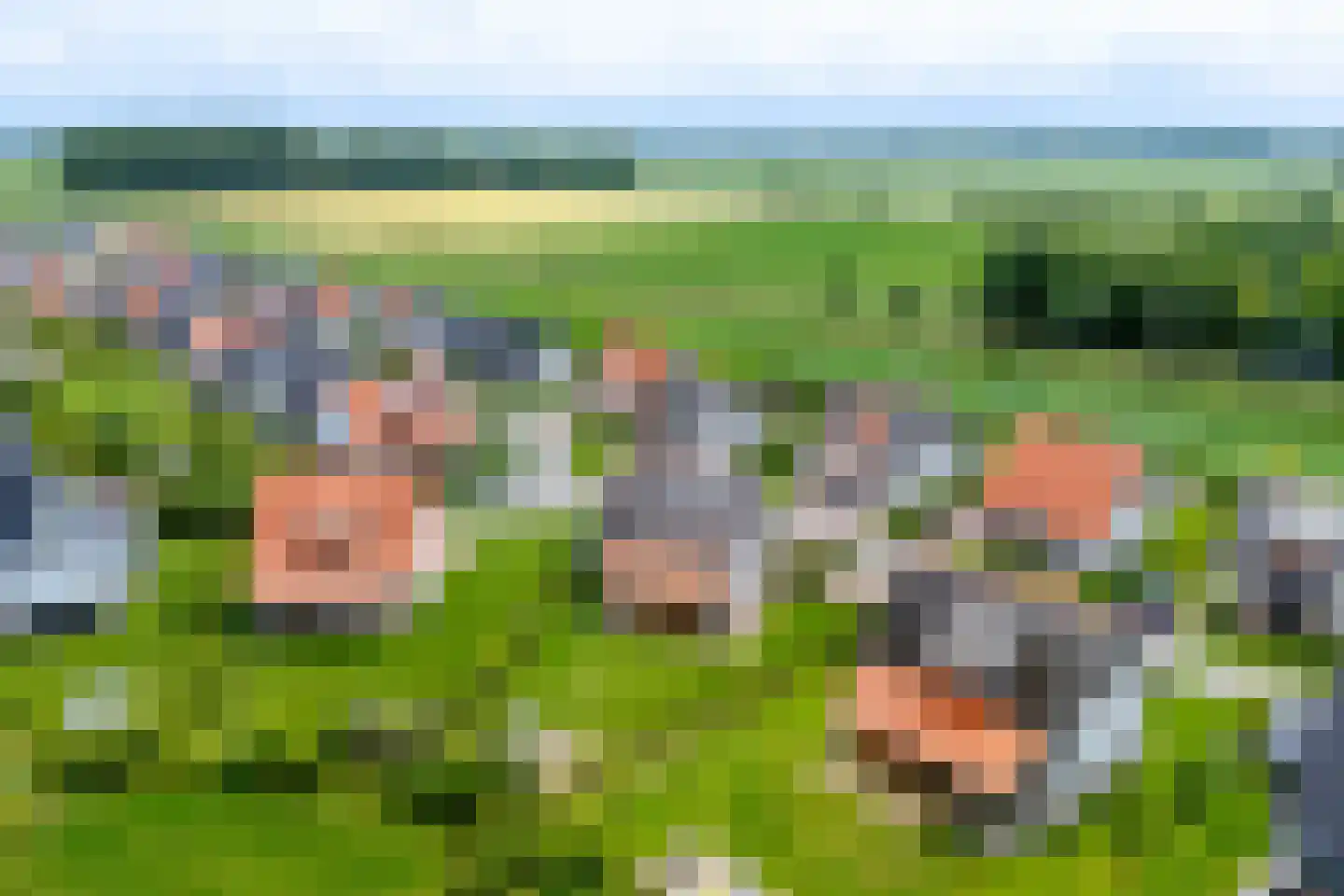 Zeedijk 24 348 Nieuwvliet thumbnail 35
