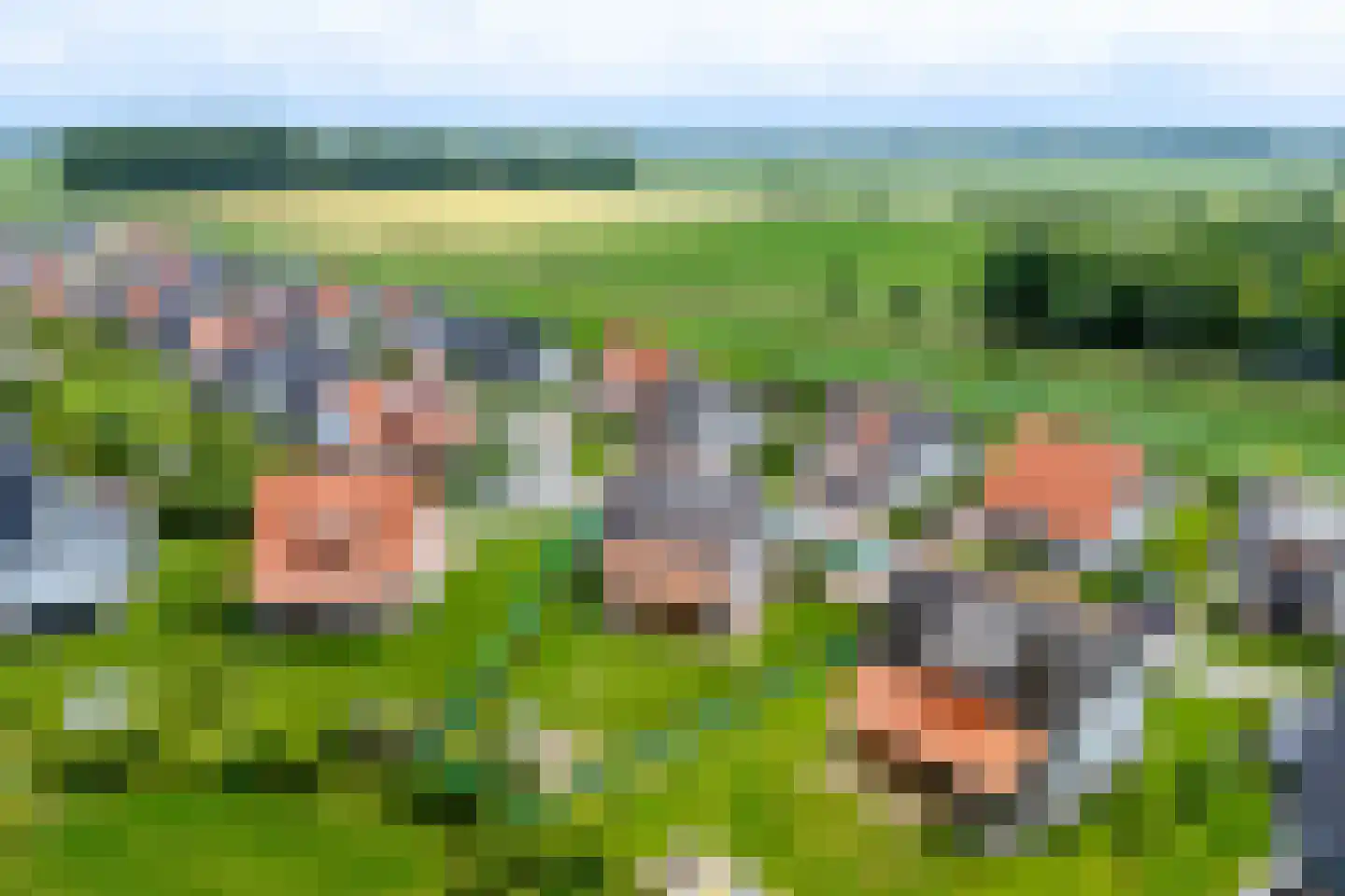 Zeedijk 24 348 Nieuwvliet thumbnail 36