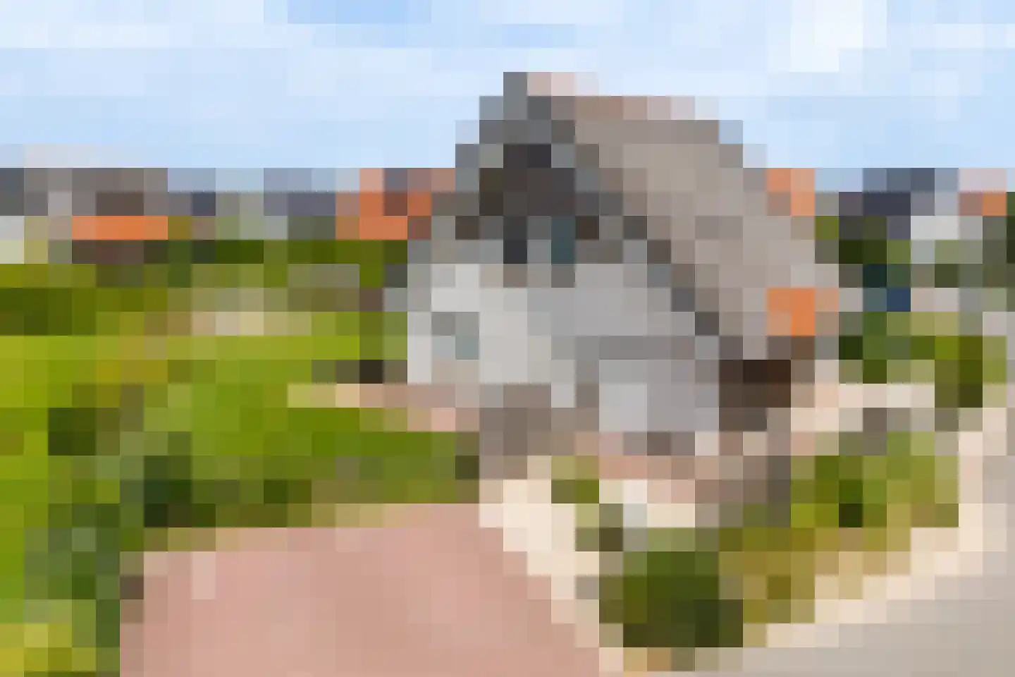 Zeedijk 24 348 Nieuwvliet thumbnail 6